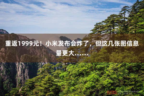 重返1999元！小米发布会炸了，但这几张图信息量更大……