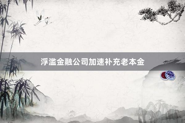浮滥金融公司加速补充老本金