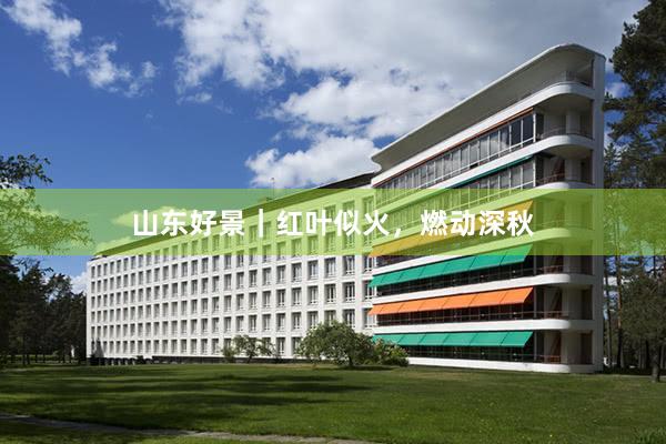 山东好景｜红叶似火，燃动深秋