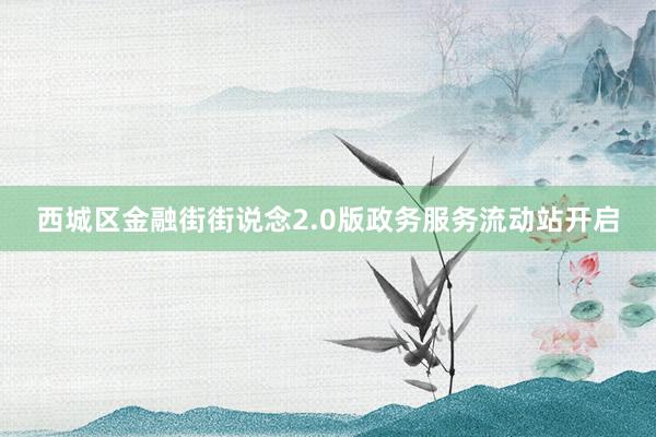 西城区金融街街说念2.0版政务服务流动站开启