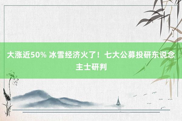 大涨近50% 冰雪经济火了！七大公募投研东说念主士研判