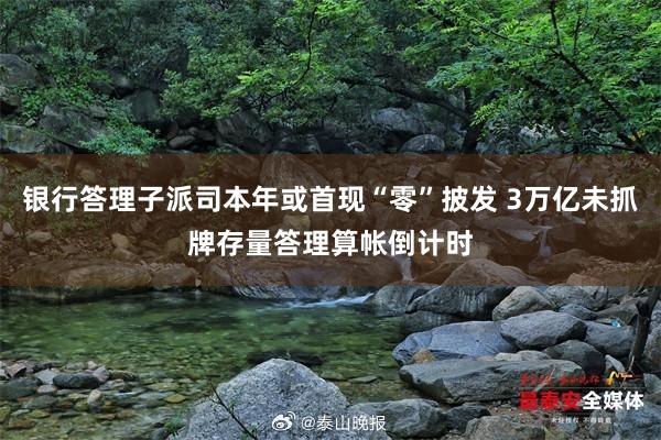 银行答理子派司本年或首现“零”披发 3万亿未抓牌存量答理算帐倒计时